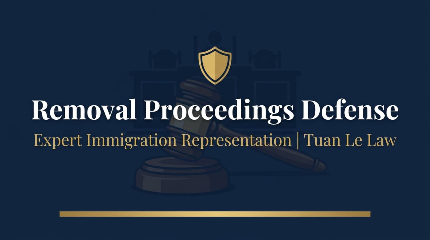 Full Representation in Immigration Matters for Individuals